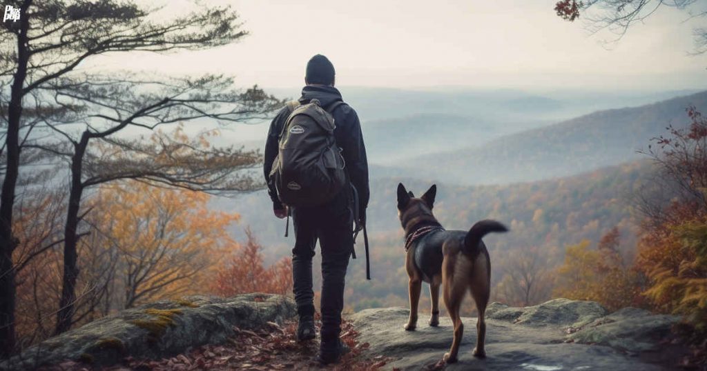 Hiking with dog