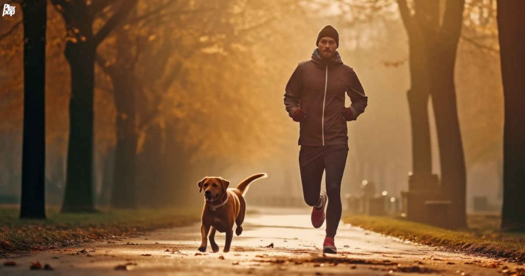 Jogging with dog